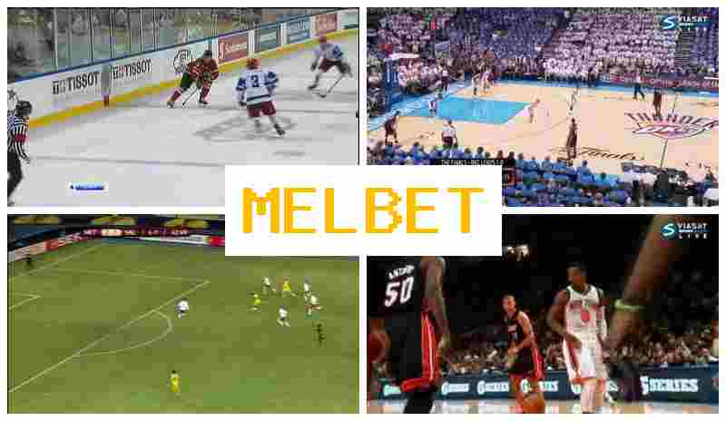 NELBET 🎇 Bookmaker Platform