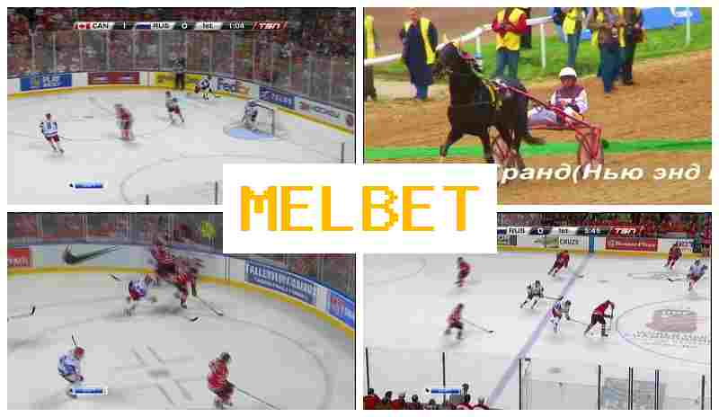 ,ELBET █ Betting Office