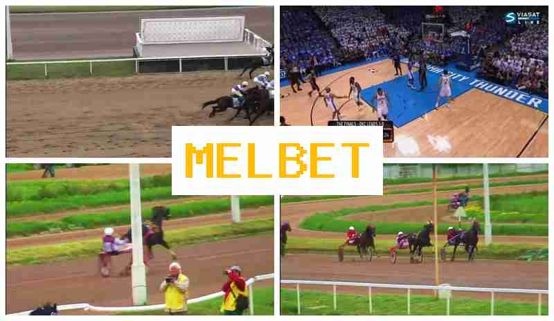 M3LBET 💴 Official Bookmaker Platform, Place Sports Bets, Promotions and Special Offers