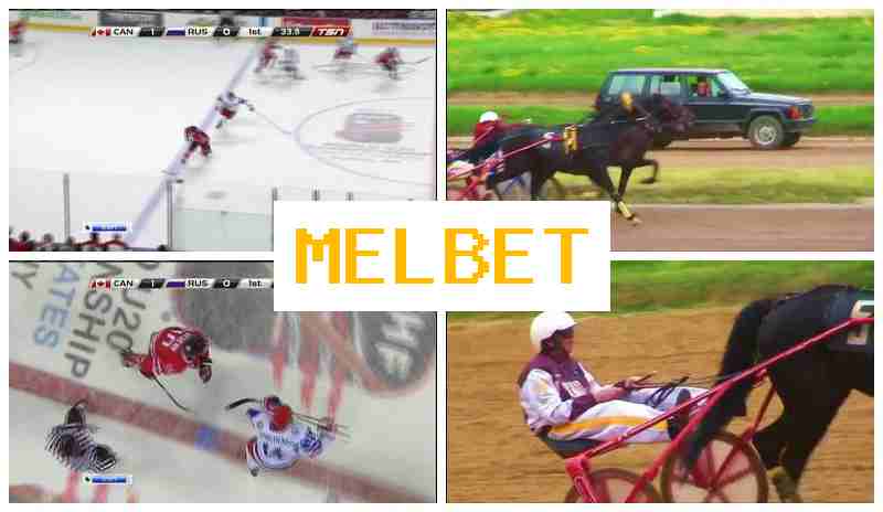 MELVET 💵 Live Sports Betting, Free Bets and Bonuses