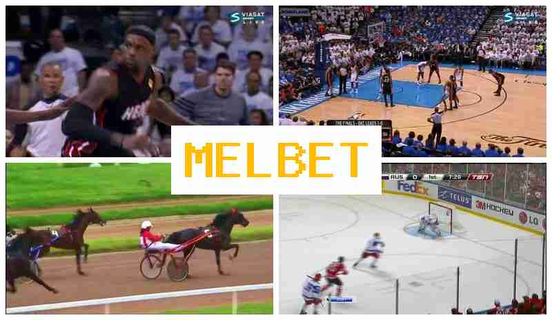 MELB4T 🏀 Bookmaker Platform, Official Bookmaker Portal