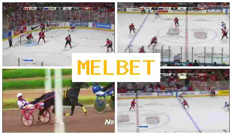MELBRT 👍 Bookmaker Company, Official Bookmaker Website