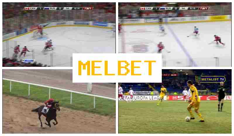 EL BET 💵 Betting Firm