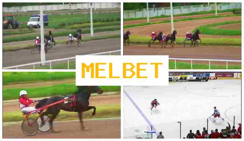 MEEL BET █ Betting on Sports, First Deposit Bonus