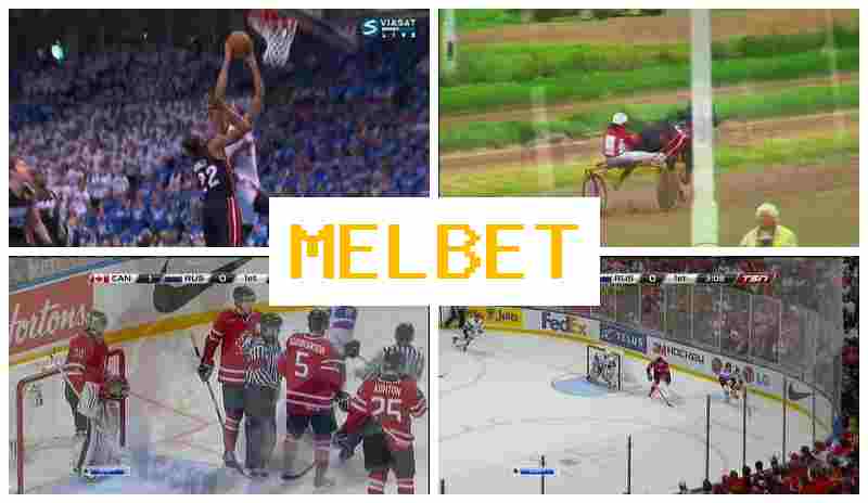 MELL BET 🌟 Betting Firm, Online, Official Bookmaker Portal