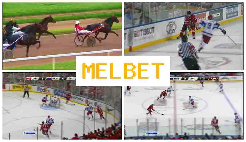 EML BET 🎇 Sporting Event Bets, Digital Sports Bets, Official Bookmaker Site