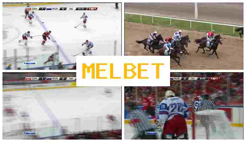 MEL EBT 🌐 Bookmaker Company, Online