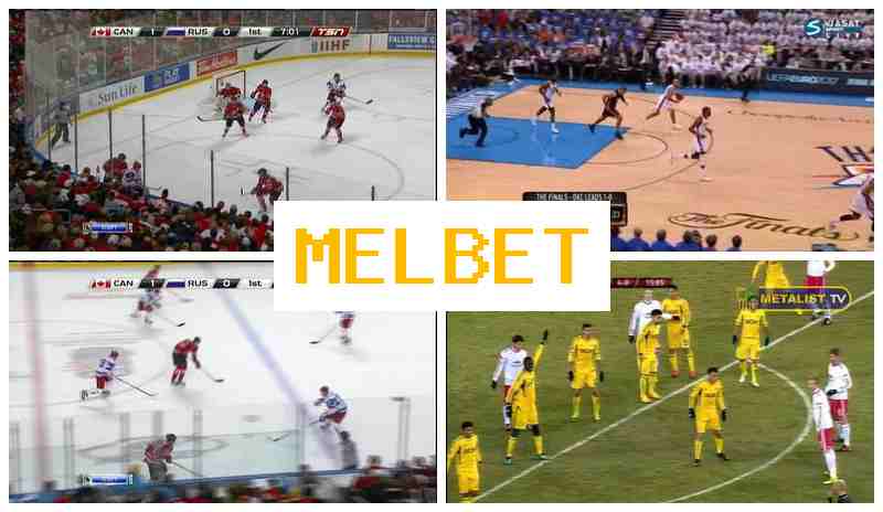 NEL BET ⚡ Online Sports Wagering, Verified Site of the Betting Firm