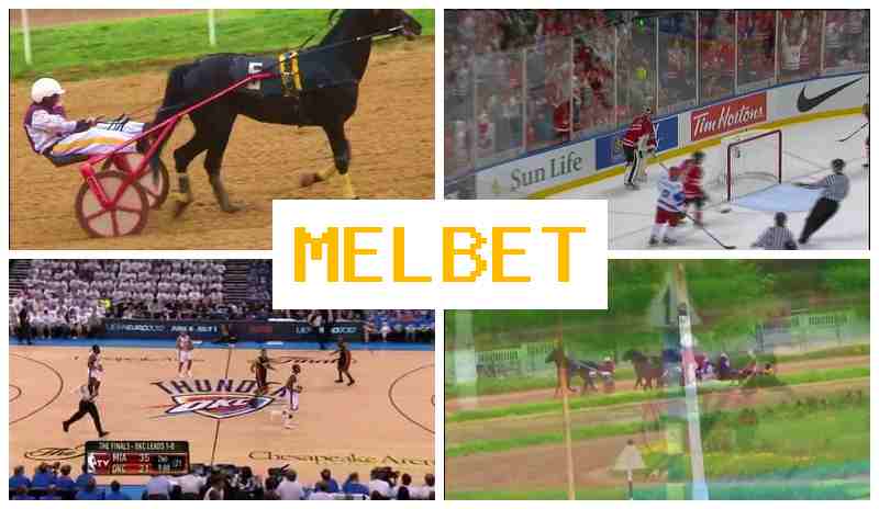 MRL BET 🏆 Online Sportsbook, First Deposit Reward, Authorized Bookmaker Portal