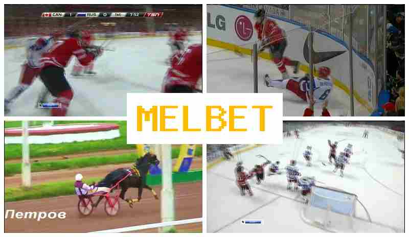 MDL BET ☑️ Bookmaker Company, Welcome Free BetBetting on Sports