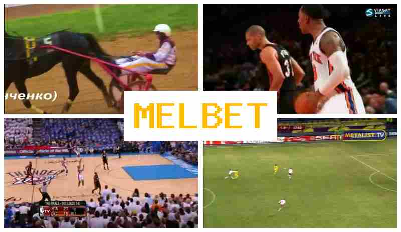 MSL BET 🔸 Bet on Sports, Verified Site of the Betting Operator
