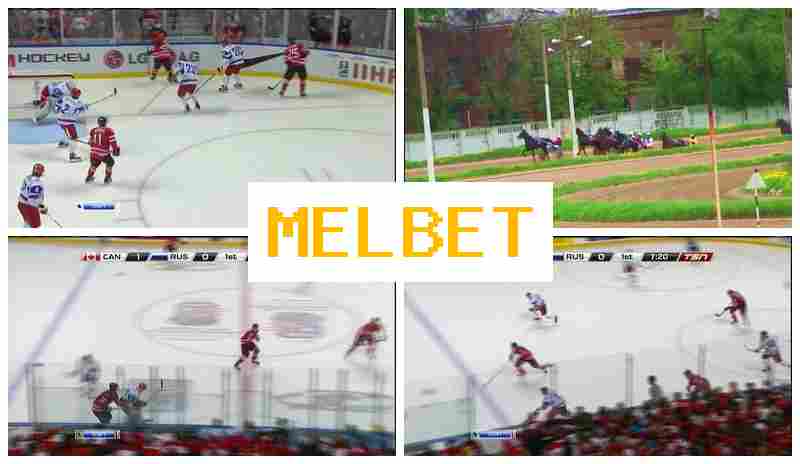 MEO BET 💲 Sportsbook, Sign In, Register, Wager on Sporting Events
