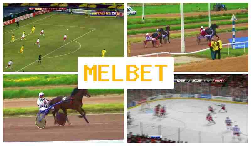 MELBE 🏆 Online Betting Platform, Register, Login, Wager Online