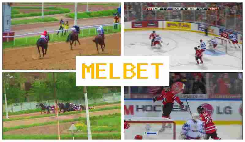 MEL BWT ☑️ Sportsbook Bets, Deposit Bonuses and Rewards, Official Bookmaker Site