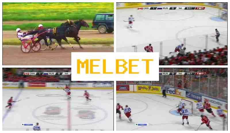 M3LBET 🔵 Online Sportsbook, Online