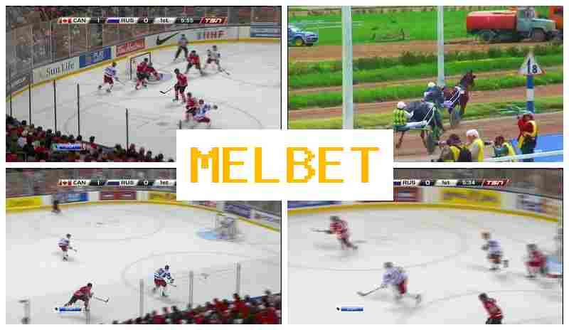 MSLBET 💲 Sports Betting, Virtual