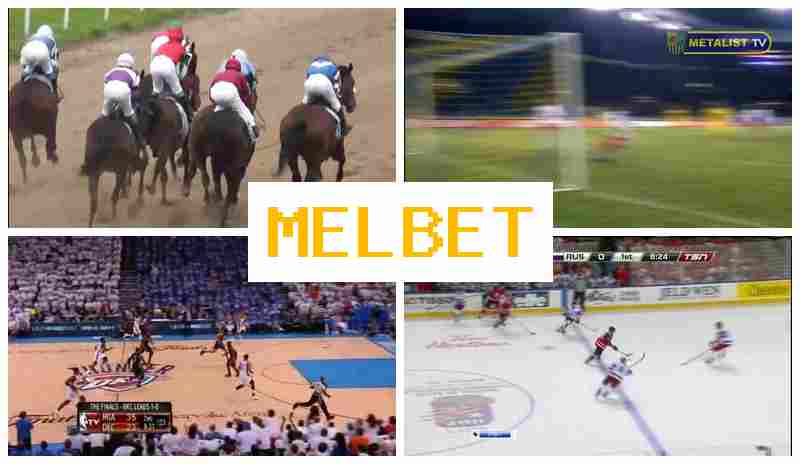 MEOBET 🎇 Verified Sportsbook, Official Website, Sign Up