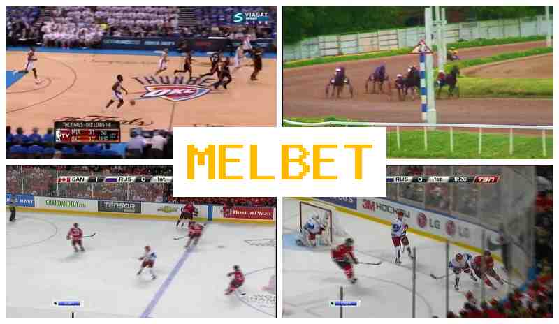 ELBET 🔶 Betting Site Online, Enter Official Platform, Join Now, Wager on Sporting Events