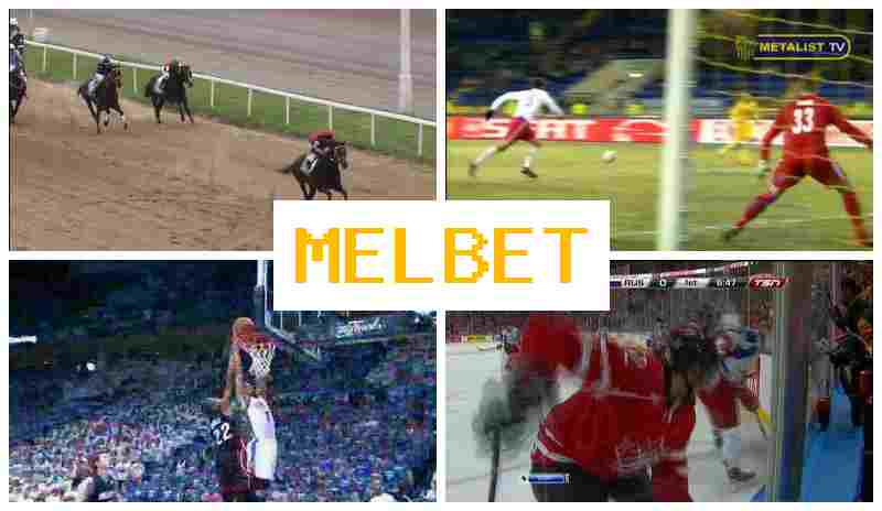 MELBER 🔔 Bookmaker Company