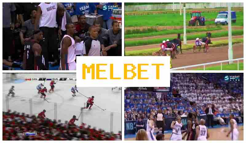 MELL BET 💯 Bookmaker Platform