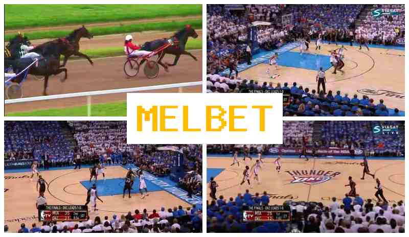 EML BET 🔸 Bookmaker Platform, Free Play Rewards, Live Event Betting