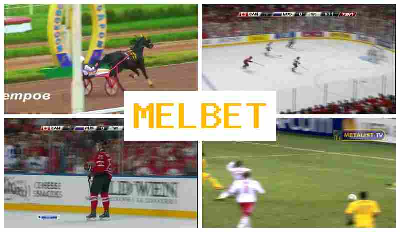 NEL BET 🎾 Online Sportsbook, Online, Sign-Up Bonus, Official Website