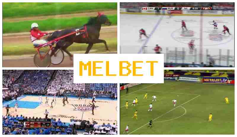,EL BET 🔶 Sportsbook Bets, Internet Betting offering High Odds