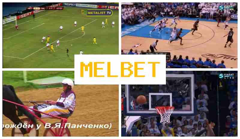 MELBT 🌟 Top Betting Platform, Register, Enter, Wager Online