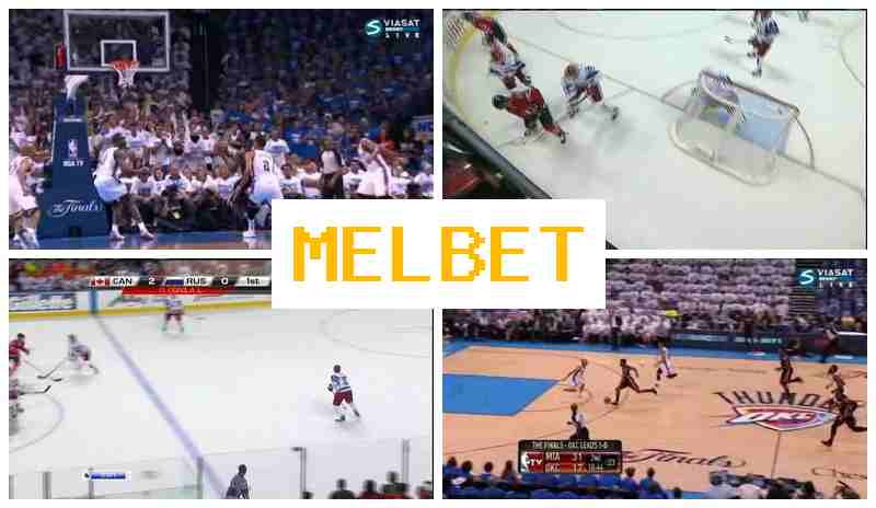 MEO BET 🔶 Bookmaker Platform, Official Website