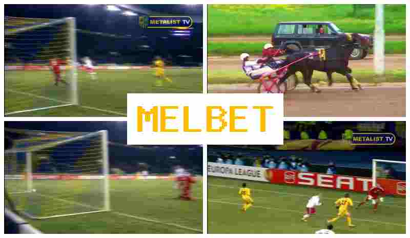 MEL GET 🔸 Sportsbook Company, Official Site, Bonuses and Free Bets, Registration