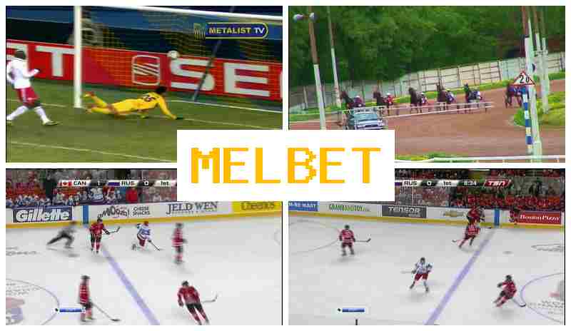 MEL BEF ⚾ Trusted Betting Company, Official Website, Sign Up
