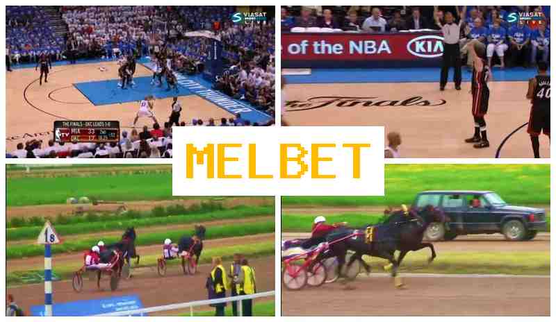 MEELBET 💶 Online Bookmaker, Official Bookmaker Website
