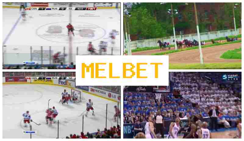 MELBETT 💸 Sportsbook Company, Official Site, Promotions and Bonuses, Registration