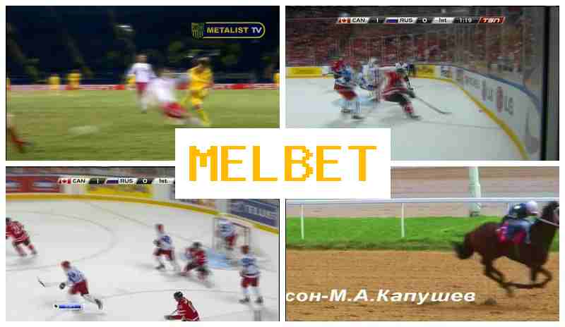 MELEBT ☑️ Betting Firm, Sports Wagering