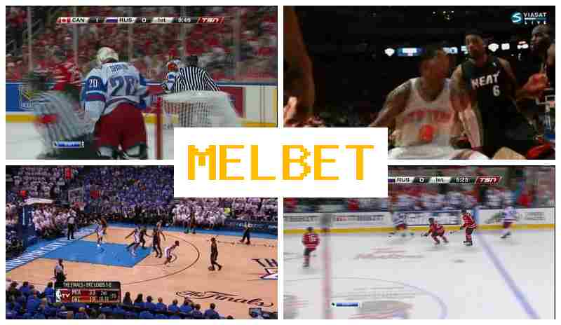 NELBET 🔸 Trusted Sportsbook Online, Wager on Sports Live