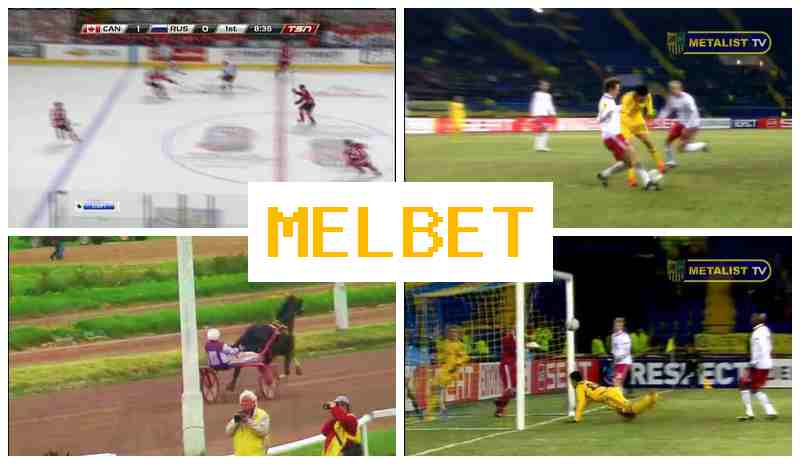JELBET 💰 Betting Office, Online