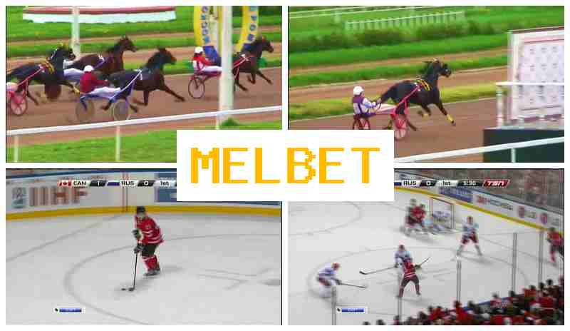 MSLBET 💵 Online Bookmaker, First Deposit Bonus