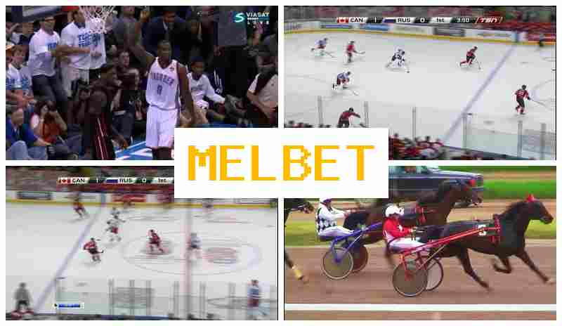 MELVET 🔵 Authorized Bookmaker Online, Official Website, Sign Up