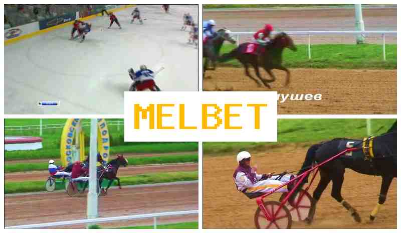 MELHET 💯 Bookmaker Company, Registration Bonus, Live Sports Events