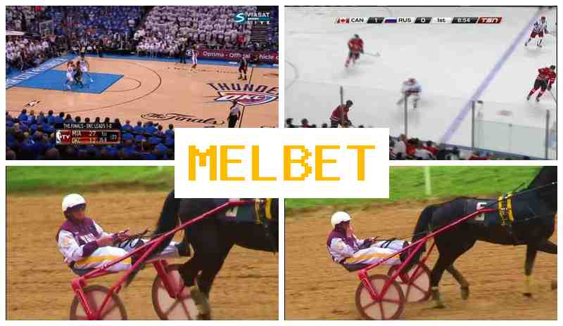 ELBET 💯 Betting Platform, New Player Bonus, Official Page of the Bookmaker