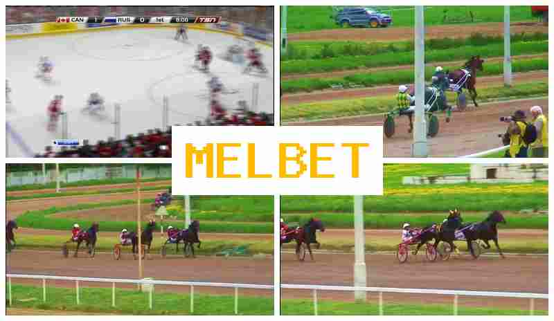 MELBRT 🔸 Betting Firm, Online