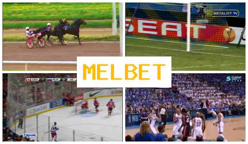 MELBEF 💯 Online Bookmaker, Official Site, Bonuses and Free Bets, Registration