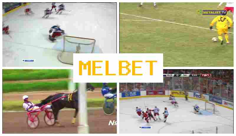 MLE BET ▒ Betting on Sports Events, Special Offers and Rewards, Official Bookmaker Platform