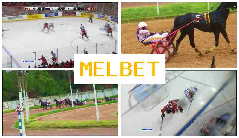 MELET 🌟 Live Sports Betting, Special Offers and Rewards, Official Bookmaker Platform