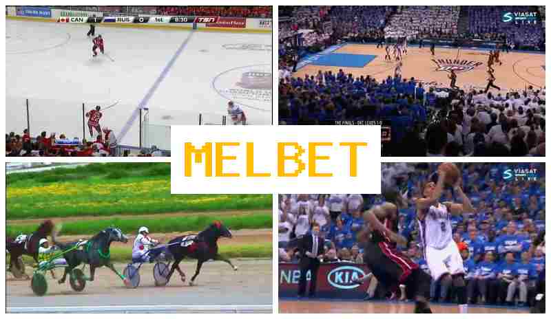 MWL BET 🏆 Place Bets on Sports with High Odds