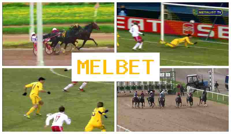 M4L BET 🌟 Online Sports Bets, Sign-Up Bonus, Verified Platform of the Betting Company