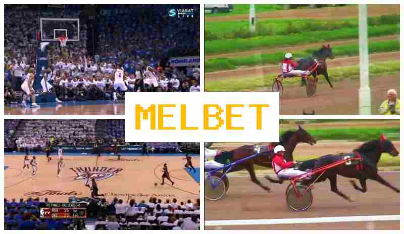 MSL BET ☑️ Betting Office, Online, Official Bookmaker Website