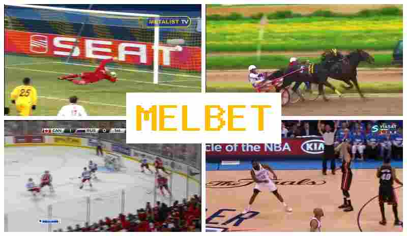 MELEBT █ Betting Firm