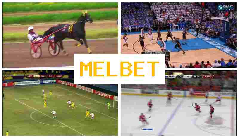 NELBET 🆓 Online Sports Wagering, Digital Sports Betting offering High Odds