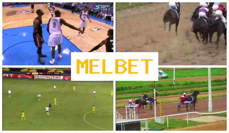 M3LBET 🌐 Digital Betting Platform